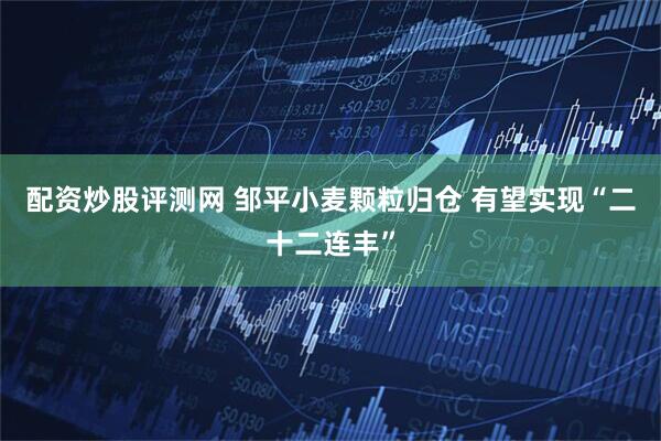配资炒股评测网 邹平小麦颗粒归仓 有望实现“二十二连丰”